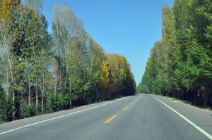 民武二級(jí)公路
甘肅建設(shè)工程飛天獎(jiǎng)