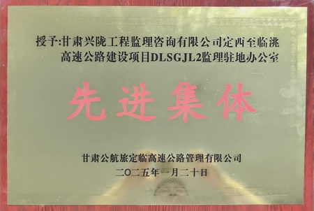 1.定临项目先进集体.JPG