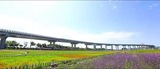 景中高速公路机场枢纽立交（交通运输部全国首批9个钢结构桥梁典型示范项目之一，甘肃省首座新型波腹板钢结